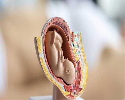 供卵代生套餐囊胚着床,把健康的未来带回家