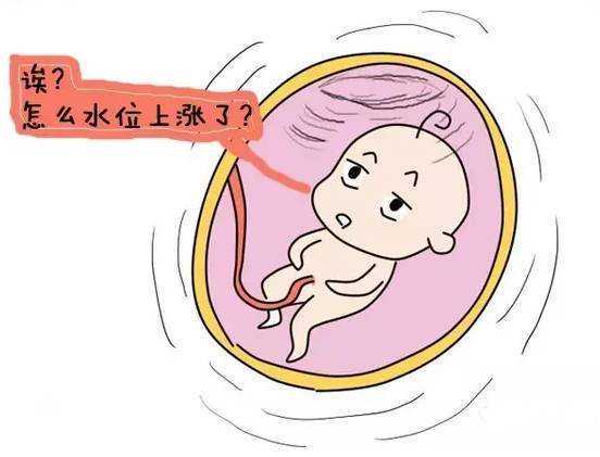 河南安阳借卵试管婴儿医院排名，成功率最高的是哪家？,代孕哪家正规